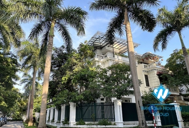 A massive villa for rent in Ciputra C Block